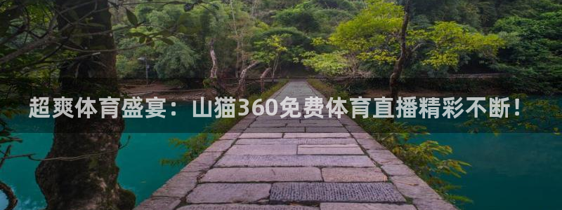857篮球体育直播：超爽体育盛宴：山猫360免费体育直播精彩不断！