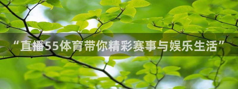 857体育赛事直播下载：“直播55体育带你精彩赛事与娱乐生活”