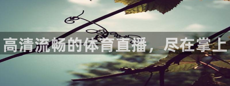 857体育赛事直播平台下载：高清流畅的体育直播，尽在掌上