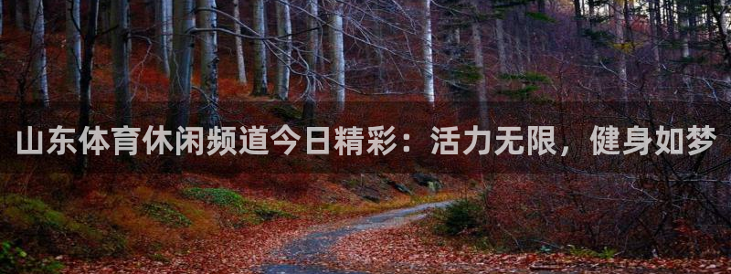 雨燕体育857直播：山东体育休闲频道今日精彩：活力无限，健身如梦