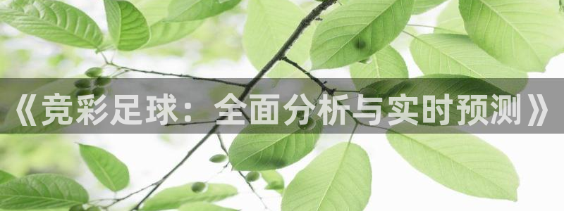 857体育视频直播：《竞彩足球：全面分析与实时预测》