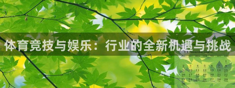857足球直播在线观看：体育竞技与娱乐：行业的全新机遇与挑战