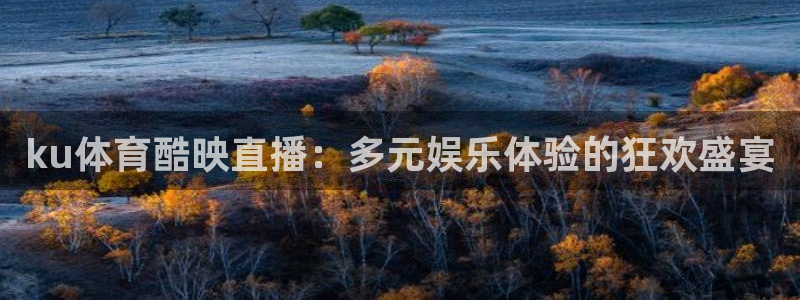 857体育赛事直播平台：ku体育酷映直播：多元娱乐体验的狂欢盛宴