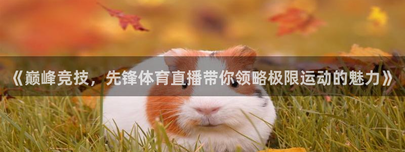 857免费nba在线直播观看：《巅峰竞技，先锋体育直播带你领略极限运动的魅力》