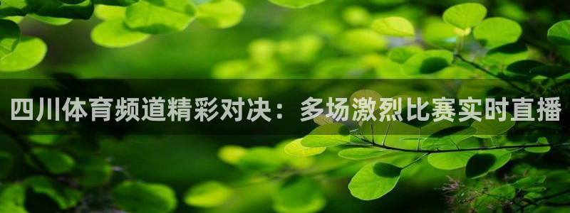 857体育直播间官网：四川体育频道精彩对决：多场激烈比赛实时直播