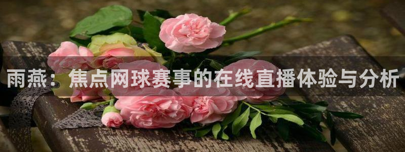 857雨燕直播体育：雨燕：焦点网球赛事的在线直播体验与分析