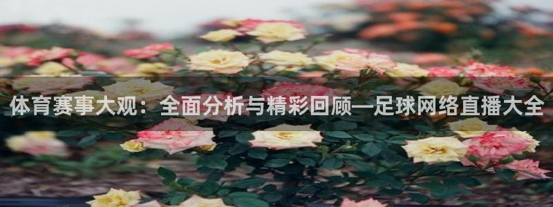 857体育赛事直播无插件：体育赛事大观：全面分析与精彩回顾—足球网络直播大全