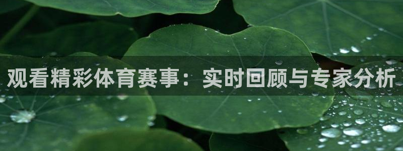 857直播体育足球：观看精彩体育赛事：实时回顾与专家分析